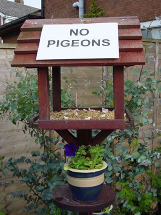 Une pancarte pour les pigeons qui savent lire