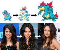 Évolution 