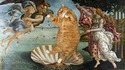 La naissance du lolcat
