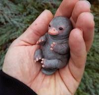 Bébé ornithorynque 