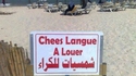 Chees langue