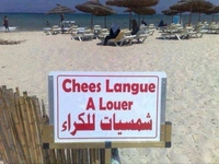 Chees langue