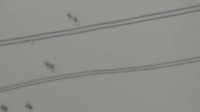 Des milliers d'araignées dans le ciel