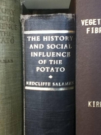 L'histoire et l'influence sur la société de la pomme de terre