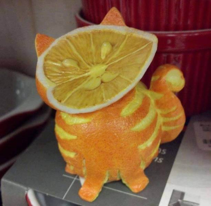 Un chat orange.