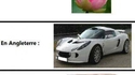 Lotus