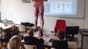 Cours d'anatomie