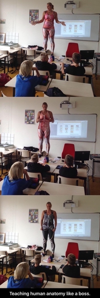 Cours d'anatomie
