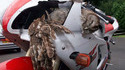 Accident de chouette