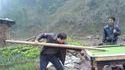Pratiquer le billard