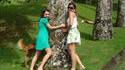 Contre un arbre