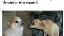 Sivouplééééé