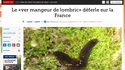 TREMBLEZ VILS INVERTÉBRÉS !!!