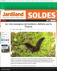 TREMBLEZ VILS INVERTÉBRÉS !!!
