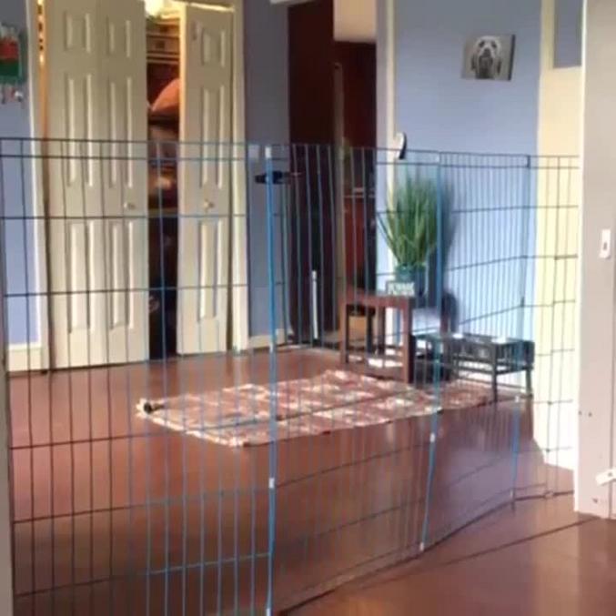 Solution De Barri re Anti chien Solution De Barri re Anti chien