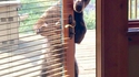 Bonjour, heu... 