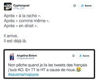 Voici le petit dernier