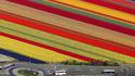 Champs colorés 2