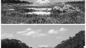 Washington DC : Le Lincoln Memorial en 1917 et aujourd'hui.