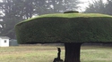 Pin parasol