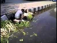 Inde : un homme lave ses légumes dans l'eau des égouts