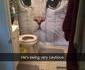 Rideau de douche anti-chat