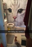 Rideau de douche anti-chat