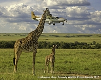 Kan t'as pas de train à regarder passer