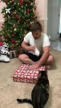 Ouverture de cadeau