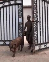 Laissez-moi une minute ...