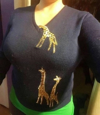 Girafe curieuse