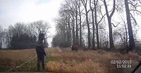 Mort aux vaches !