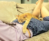 Calendrier de l'arrière, l'épilogue