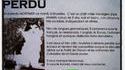 Avis de recherche 9