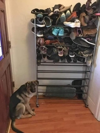 Confisqué !