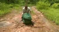 Repeuplons la faune de nos forêts !