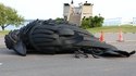 Un corbeau