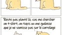 Politesse féline