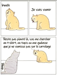 Politesse féline