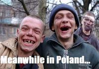 Pendant ce temps, en Pologne...