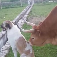 "Vas-y, là, en bas à droite, mmmhhhhh..."