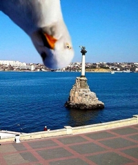 Sale bête qui vient te gâcher la photo !