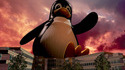 Serveur Linux