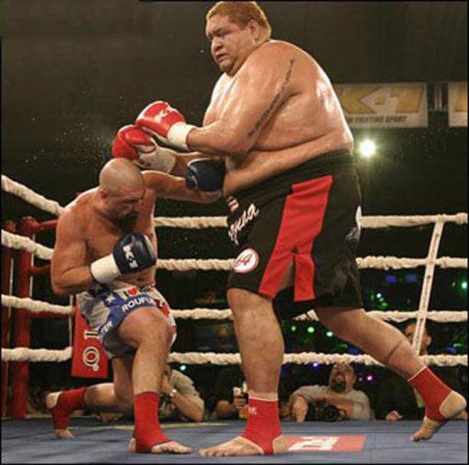 Un ancien sumo qui a choisi la boxe ?