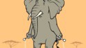 Un éléphant saute à la corde