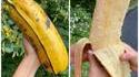 Une banane 