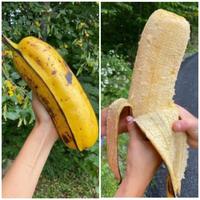 Une banane 