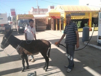 Hassan Pabon asticote son épouse avec un gode particulier...