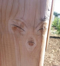 ISP et ont la gueule de bois