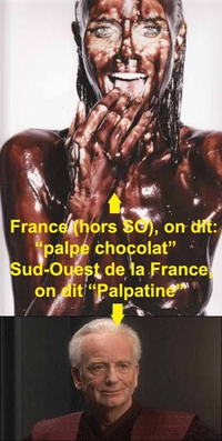 Nos belles expressions du terroir